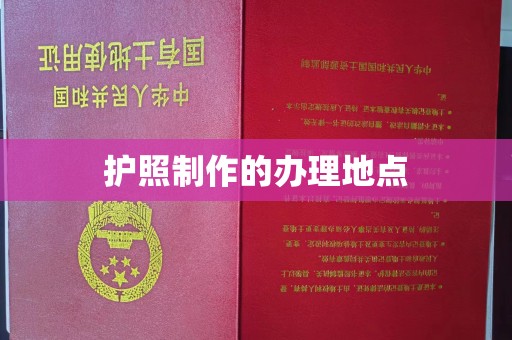 贡嘎护照制作的办理地点